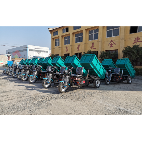 Tricycle électrique à trois roues 1000W pour mines